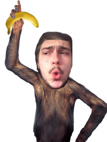 Monkey Love photo